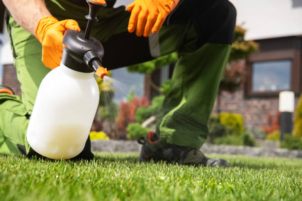 Best Insect Control  in Richmond West, FL