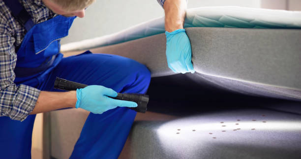 Best Mosquito Control Services  in Richmond West, FL