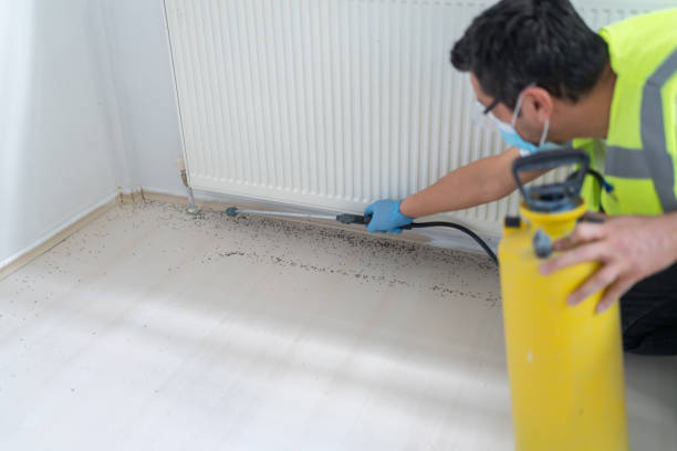Best Cockroach Control Services  in Richmond West, FL