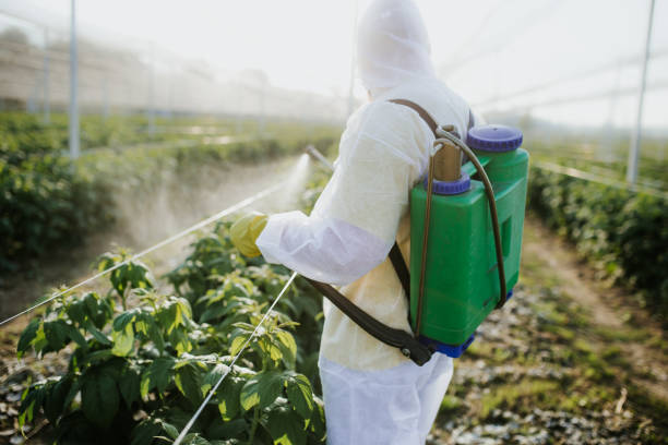 Best Best Pest Control Companies  in Richmond West, FL